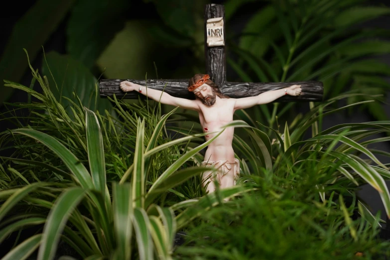 a wooden cross with a red face is in the middle of vegetation