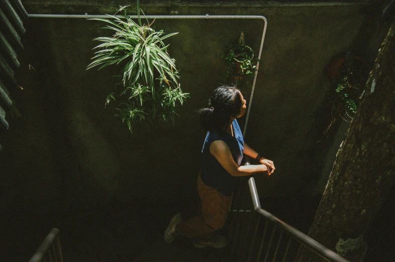 woman walking up a flight of stairs toward a hanging plant