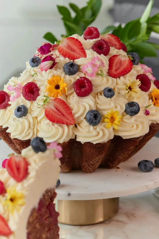 a piece of dessert cake with fruit on it