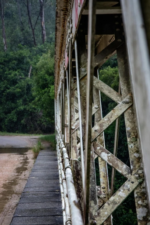 some logs are on the side of a bridge