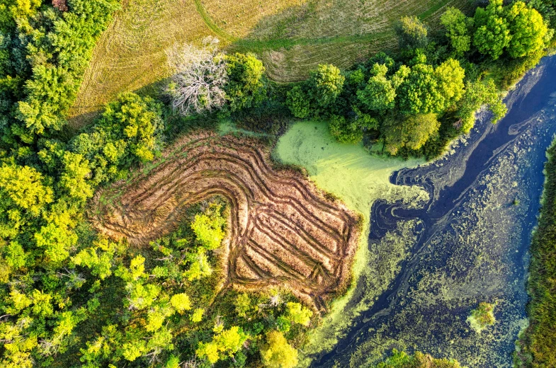 an aerial s of an over grown and partially cleared area