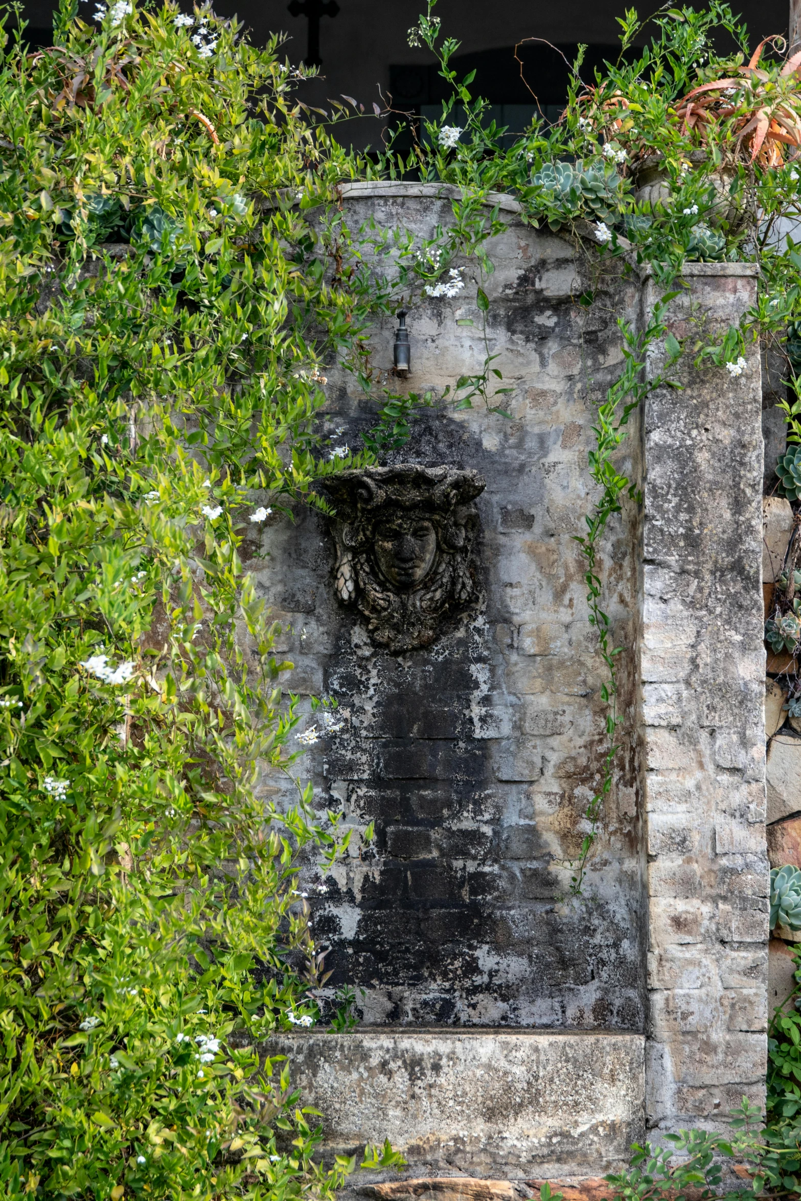 a wall is shown with vines growing around it