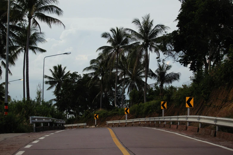 a road with yellow traffic signs and trees on both sides