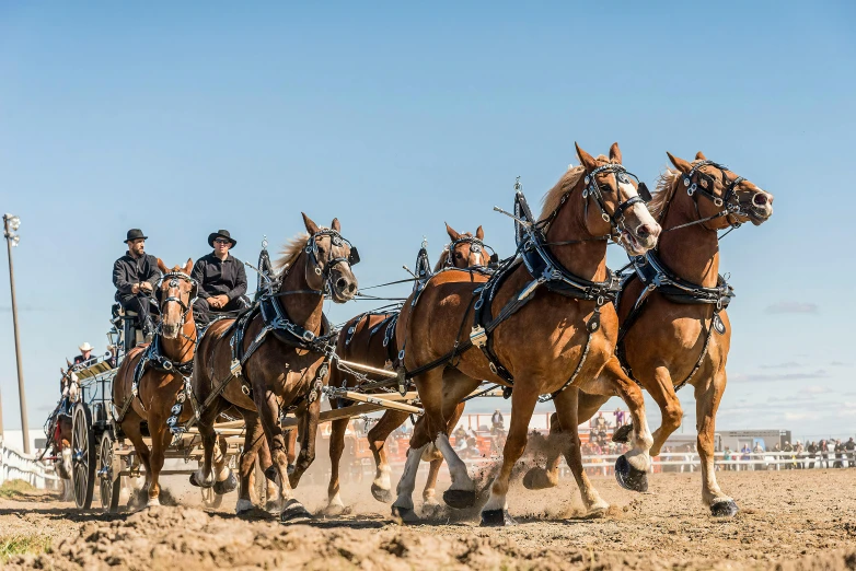 there is a wagon that is pulling two large brown horses