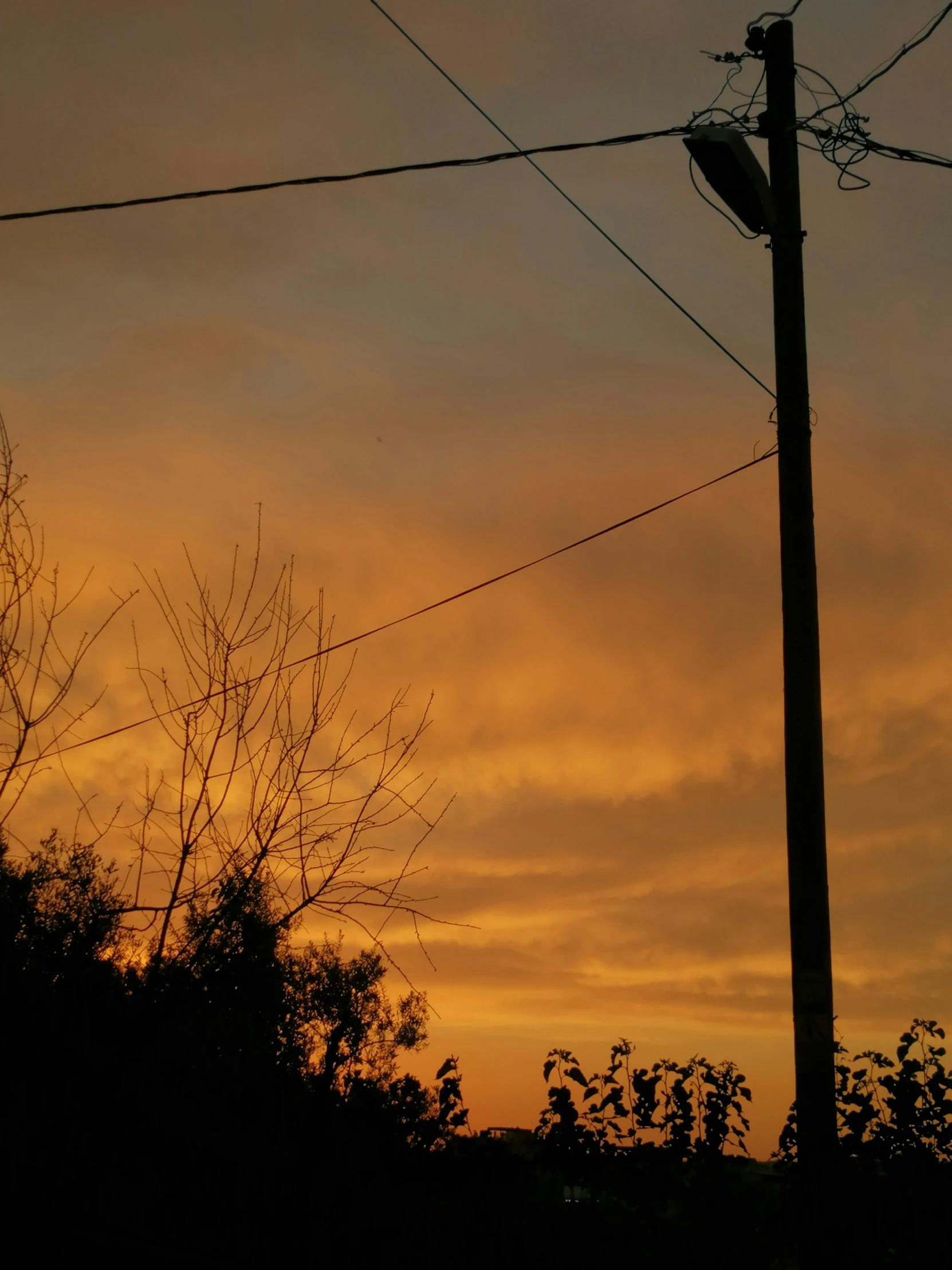 silhouette of telephone pole against an orange sky at sunset