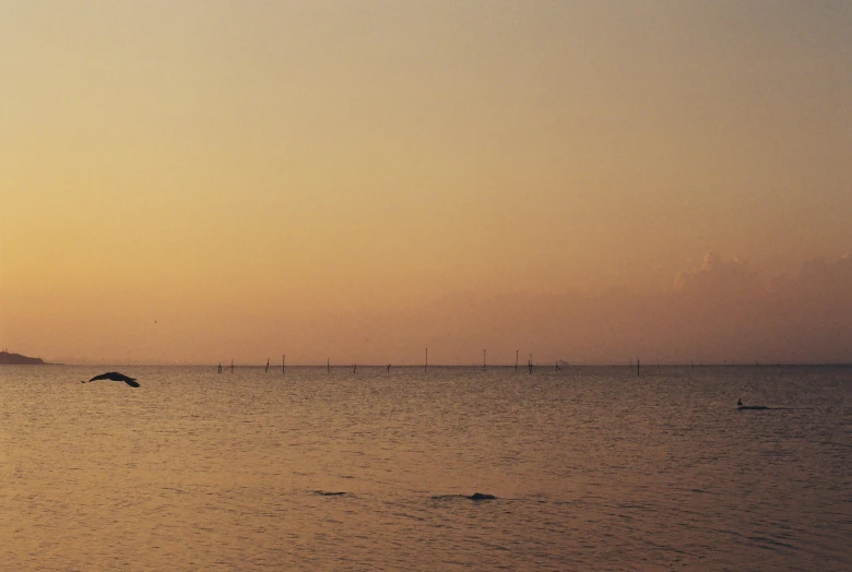 boats in the ocean during sunset or sunset