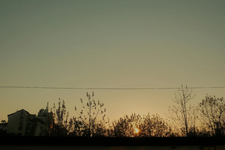 a city skyline with trees and a bird flying