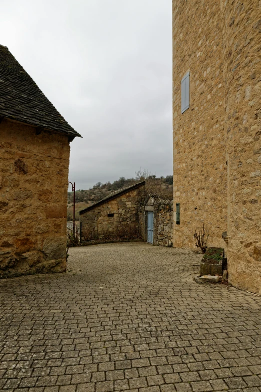 two very stone buildings and a small potted plant