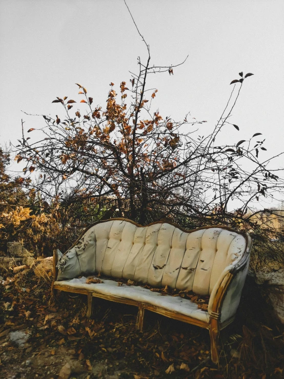 an old sofa in the middle of a field with leaves on it