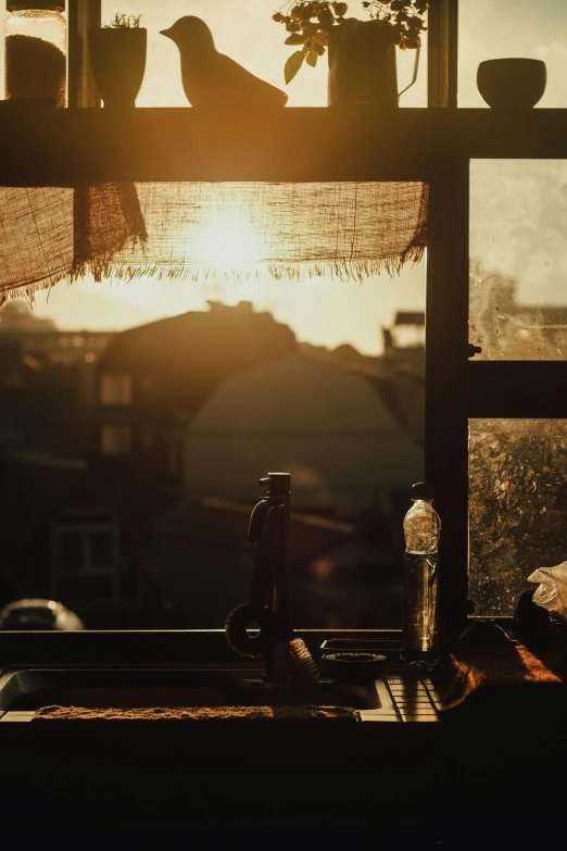 a bird sits on a shelf on a window sill