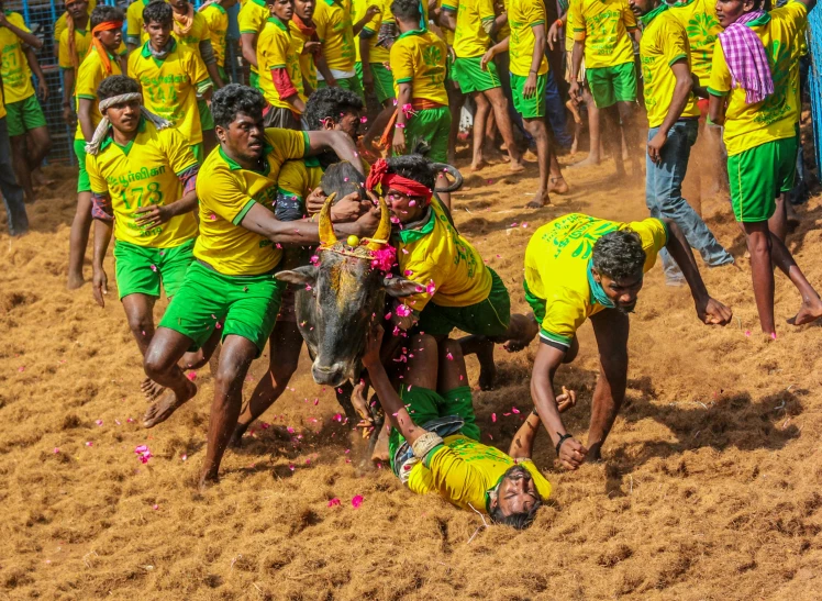 a group of people in yellow and green clothes on a horse