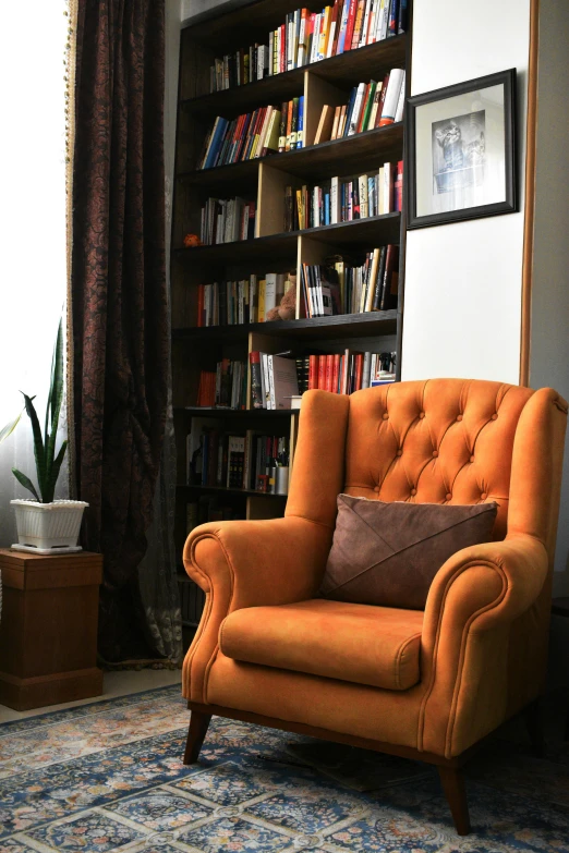 a chair and some bookshelves in a living room