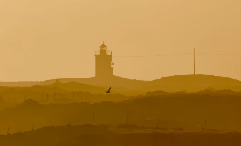 the view from afar to a tower in the distance