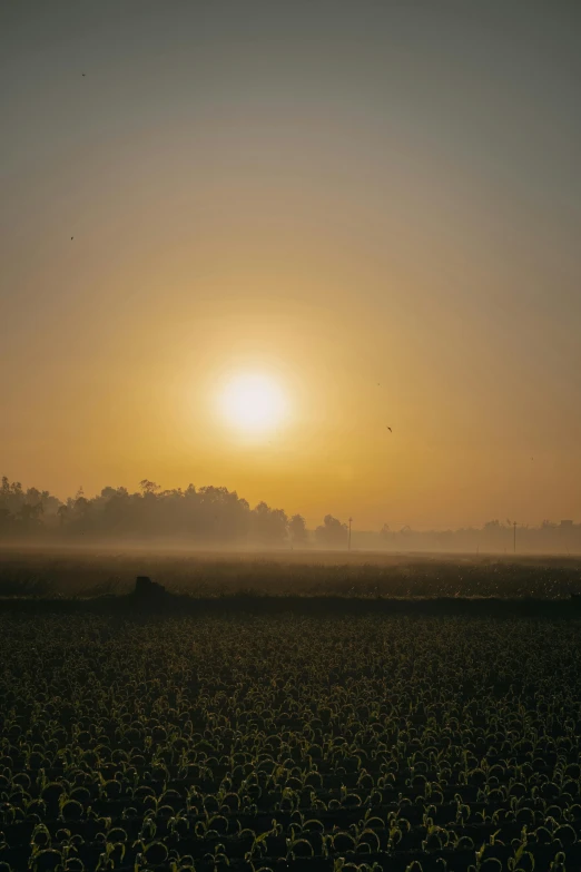 a po of a sun setting on the horizon