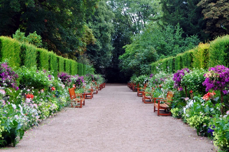 a long path lined with plants and flowers