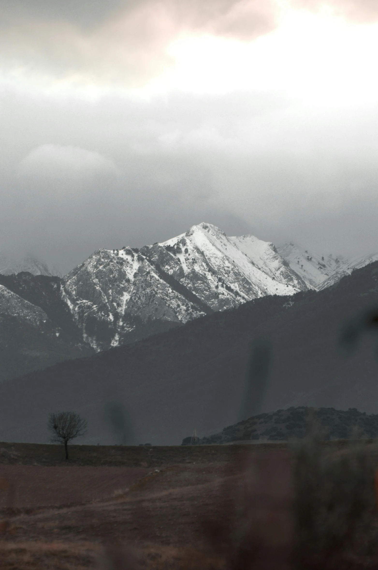 a couple of mountains with a tree near by