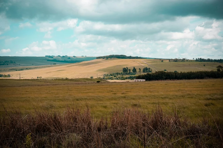 this grassy field has brown grass and some clouds in the background