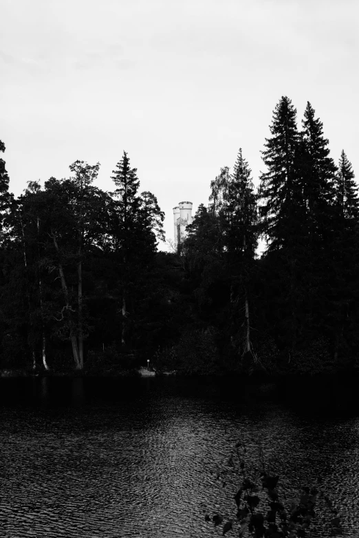 a black and white po of trees over a body of water