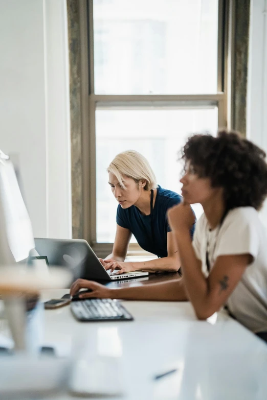 people sitting at a table working on computers