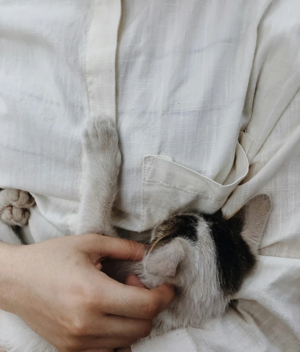 a black and white cat sleeps on someone's lap