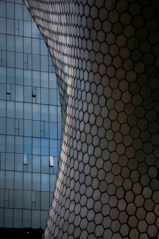 a bird is standing alone in the middle of a building