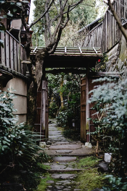 a wooden walkway between two tall buildings