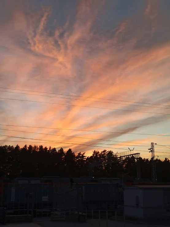 power lines are above the trees at sunset