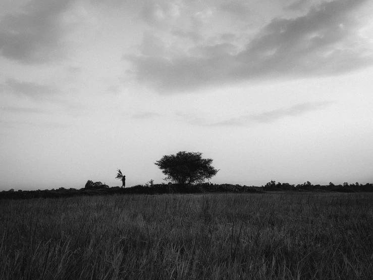 a single giraffe and two people in a field