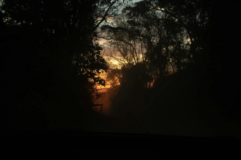 a silhouette of trees against an orange sky