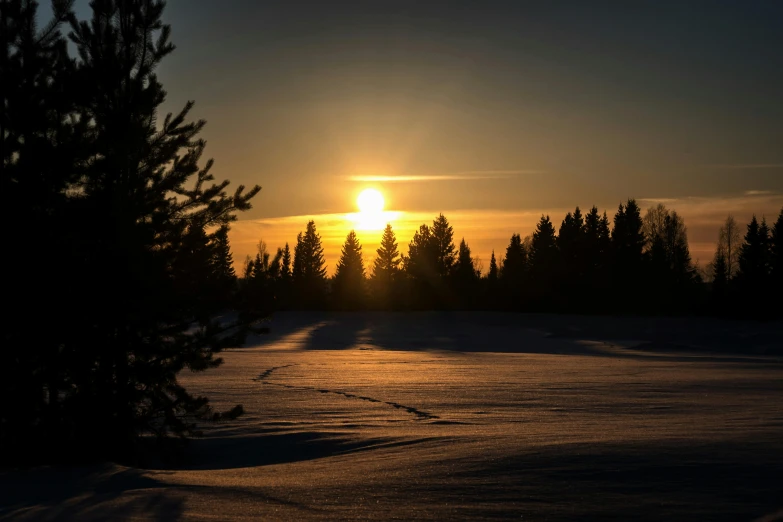 a sunset with trees in the foreground and the sun in the background