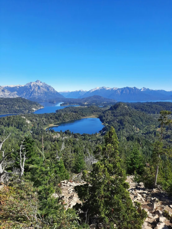 a scenic view of a lake, mountains, and forest from a high point