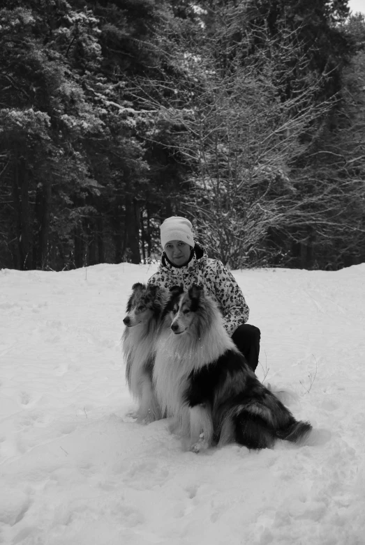 a dog is sitting next to a person on the snow