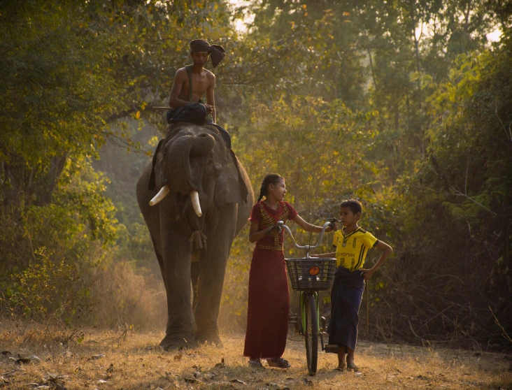 some people and an elephant in a field