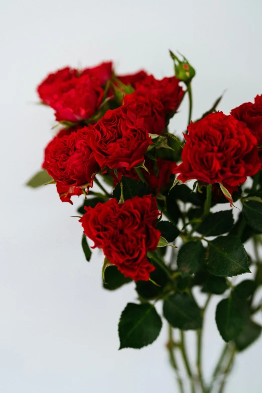 a bouquet of red roses sitting in a vase