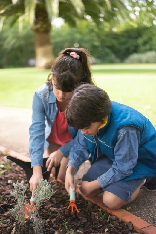 two children working together with plant tools in the ground