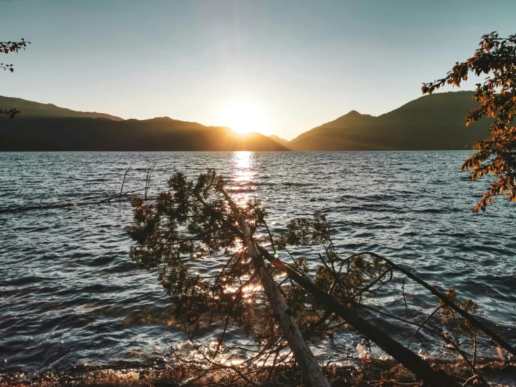 a body of water with trees in front of it