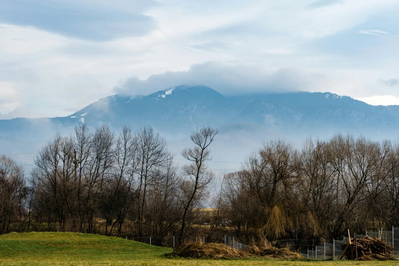 a view of mountains with trees around them