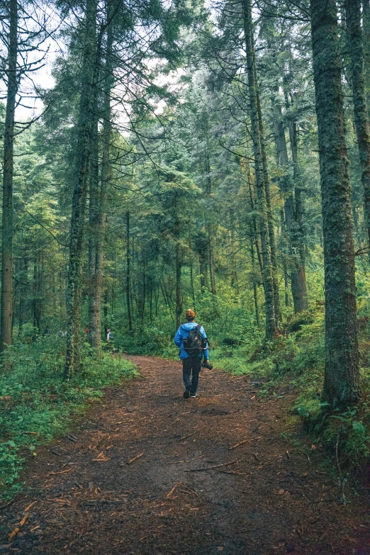 a man walks along a wooded dirt road