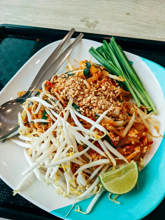 a plate full of pad thai noodles with meat and sauce