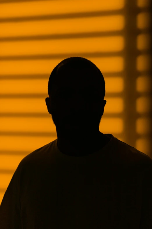 a person is silhouetted against the sunlight through blinds
