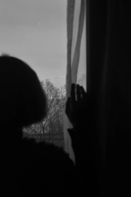 a silhouette of a person looking out a window at the trees outside