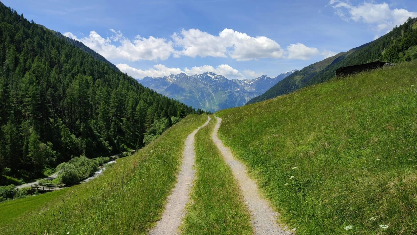 a dirt road in the middle of green fields