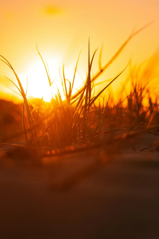 the sun rises over some grassy hills in the distance