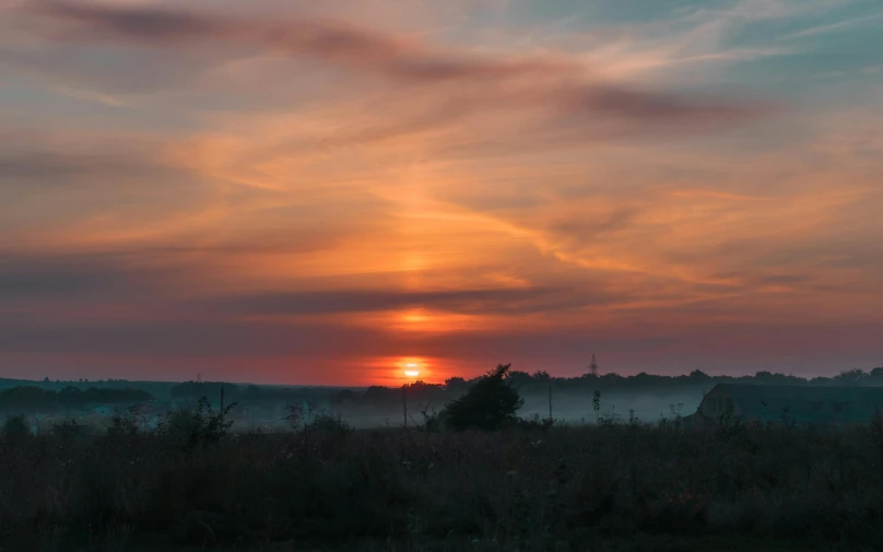 a foggy field covered in trees and the sun rising