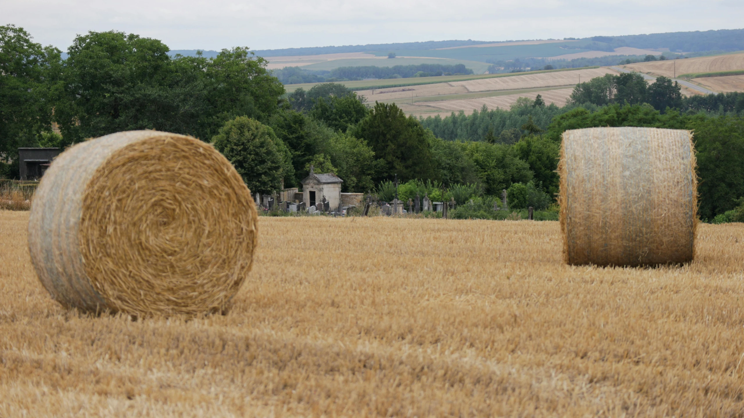 a grassy field with large round bales of hay