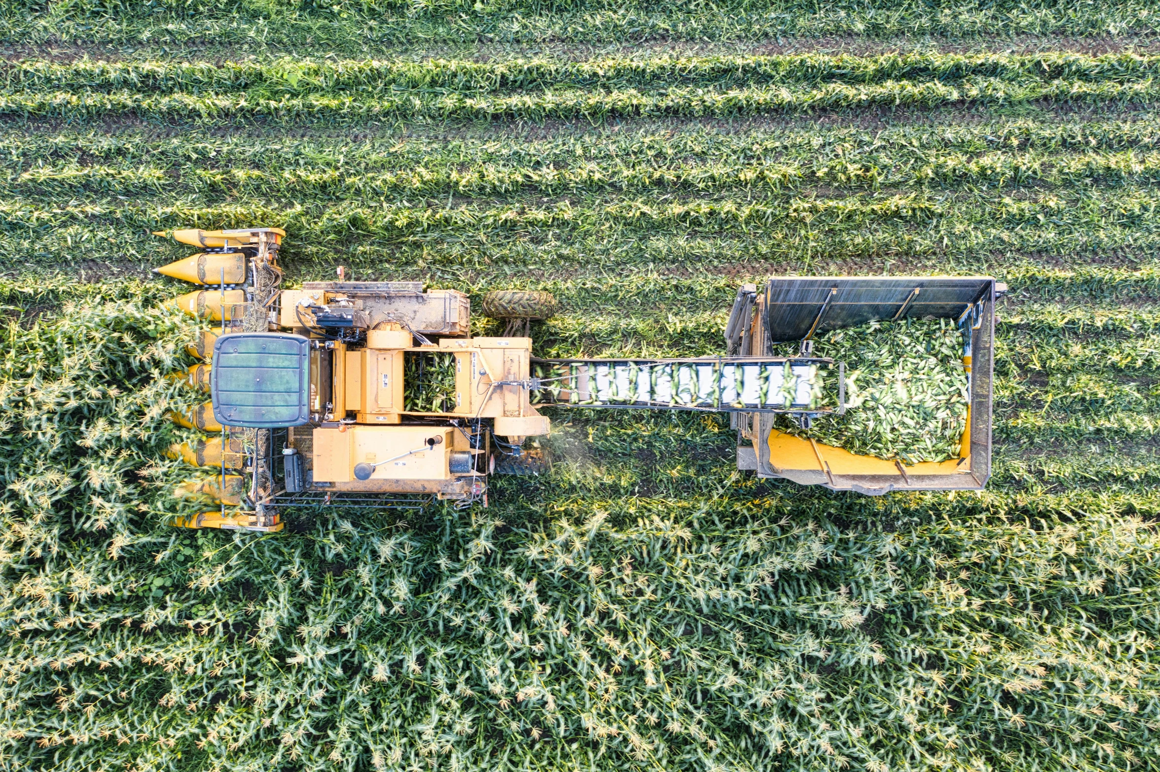 a combine has arrived from above on a field of green grass