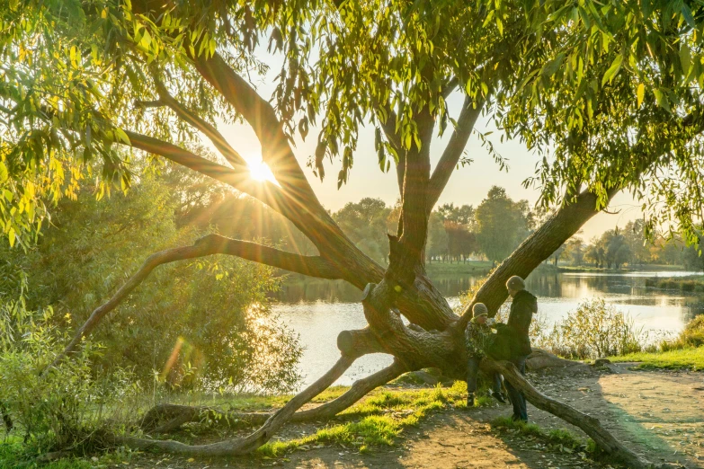 a young woman standing under a tree by the water