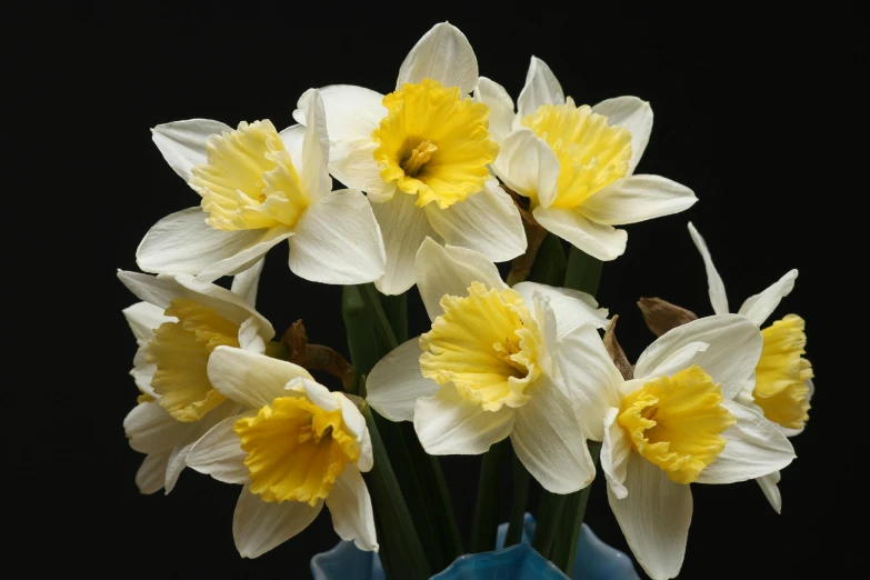 a vase filled with yellow and white flowers