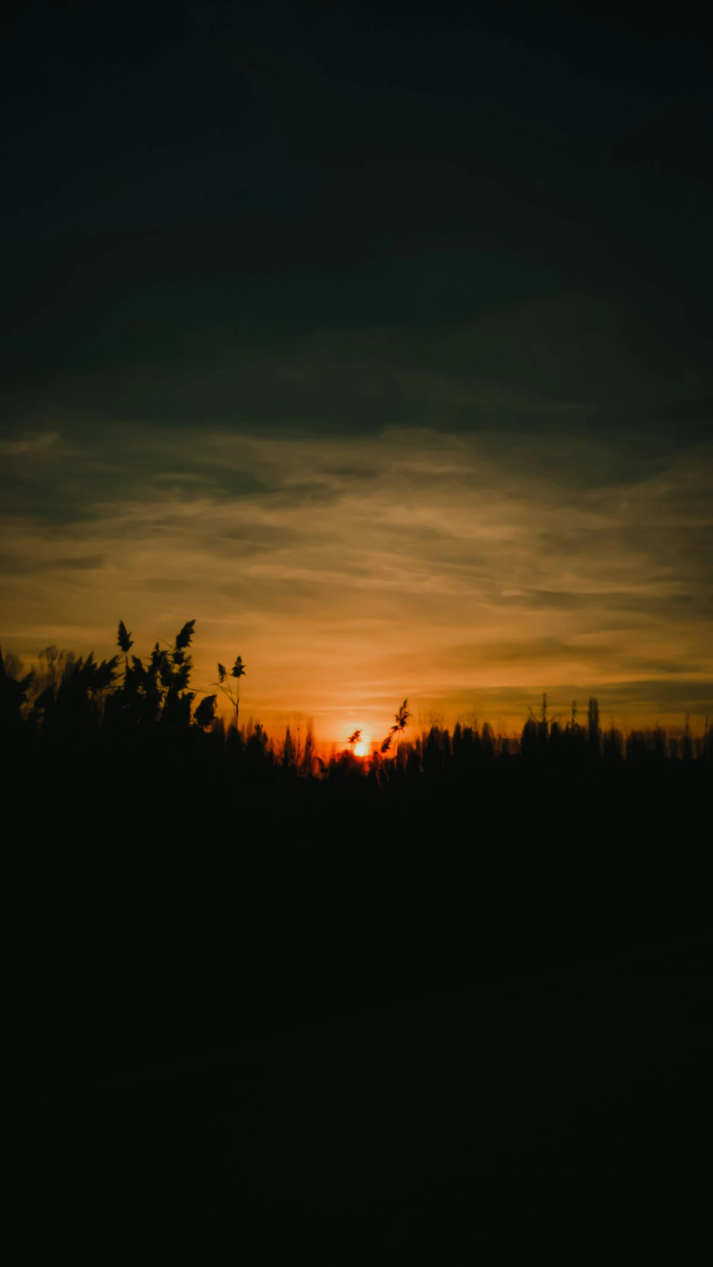 the sun is setting behind the silhouette of some trees