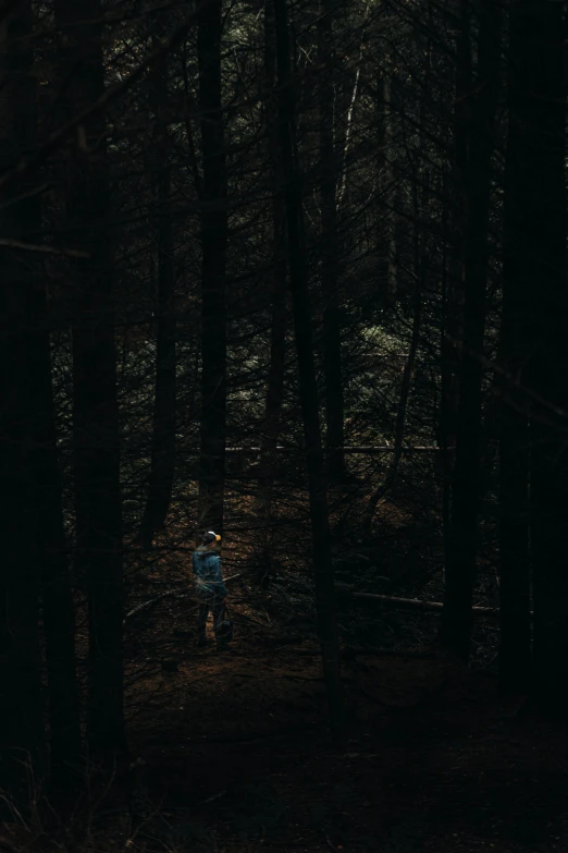 a blue umbrella is sitting in the woods